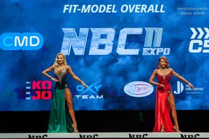 FIT-MODEL OVERALL